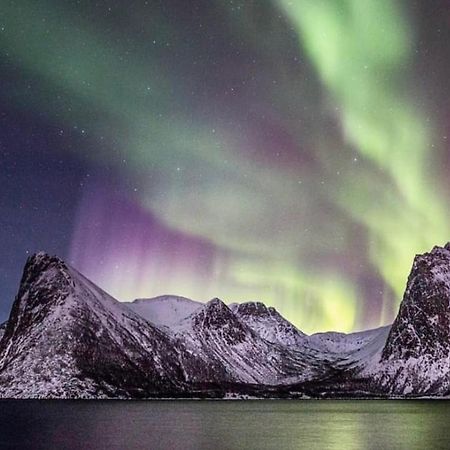 Апарт отель Senja Living Stonglandseidet Экстерьер фото