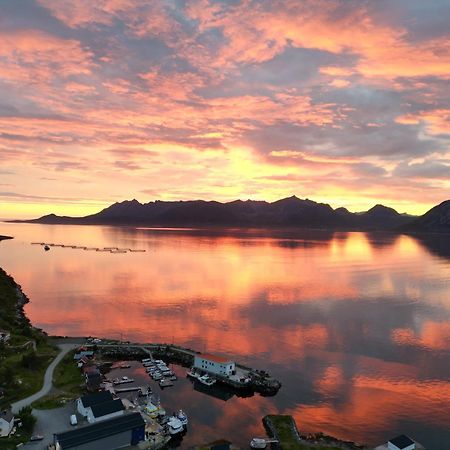 Апарт отель Senja Living Stonglandseidet Экстерьер фото