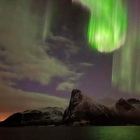 Апарт отель Senja Living Stonglandseidet Экстерьер фото