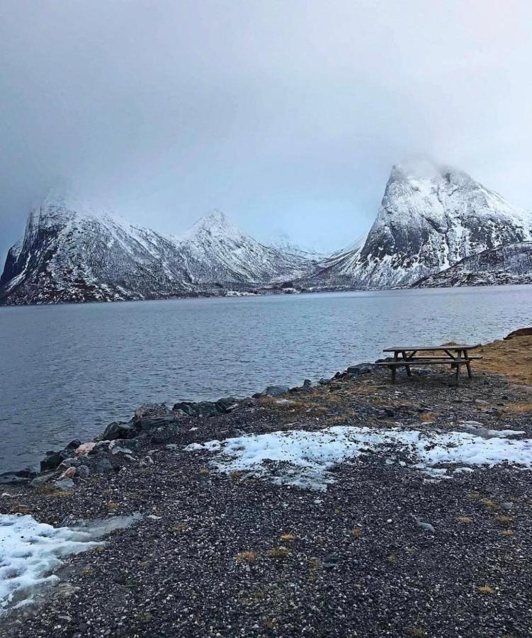 Апарт отель Senja Living Stonglandseidet Экстерьер фото