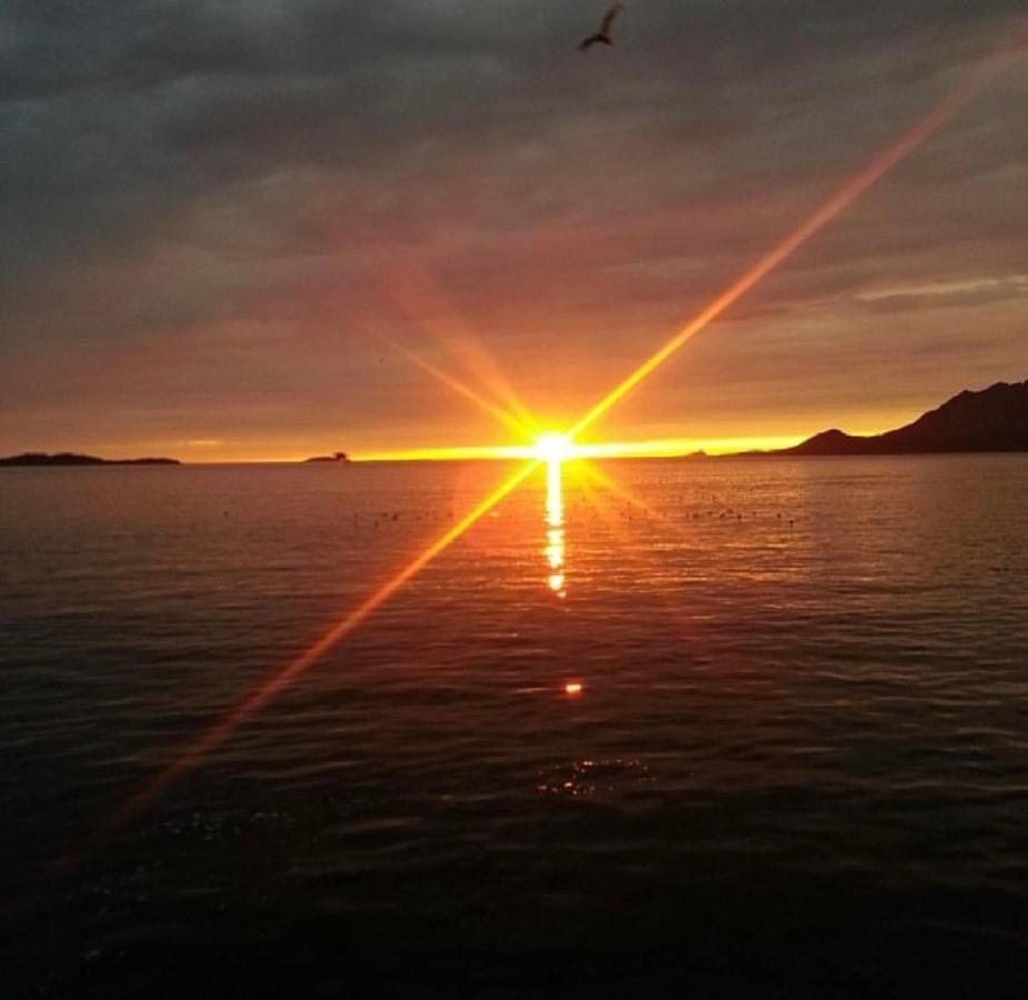 Апарт отель Senja Living Stonglandseidet Экстерьер фото