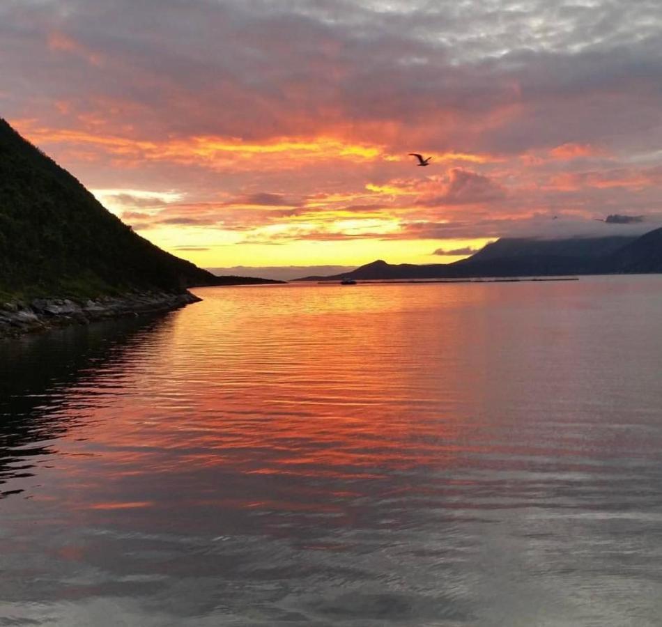 Апарт отель Senja Living Stonglandseidet Экстерьер фото