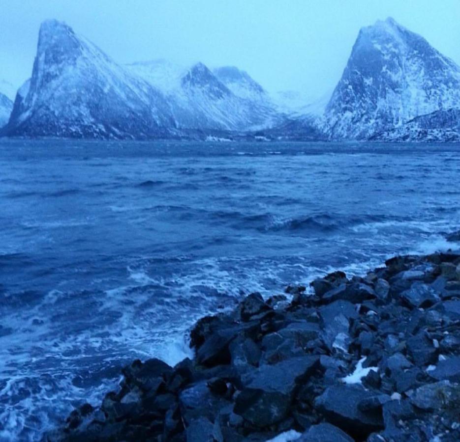 Апарт отель Senja Living Stonglandseidet Экстерьер фото