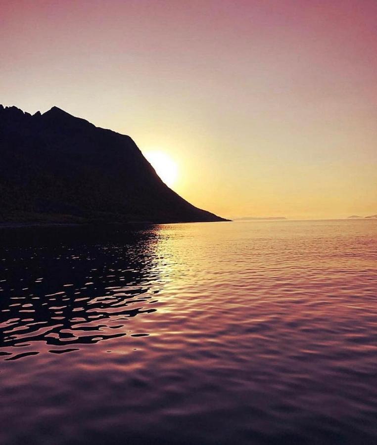 Апарт отель Senja Living Stonglandseidet Экстерьер фото