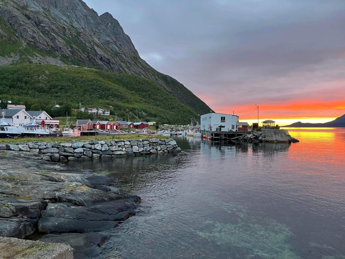 Апарт отель Senja Living Stonglandseidet Экстерьер фото