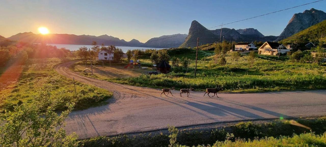 Апарт отель Senja Living Stonglandseidet Экстерьер фото