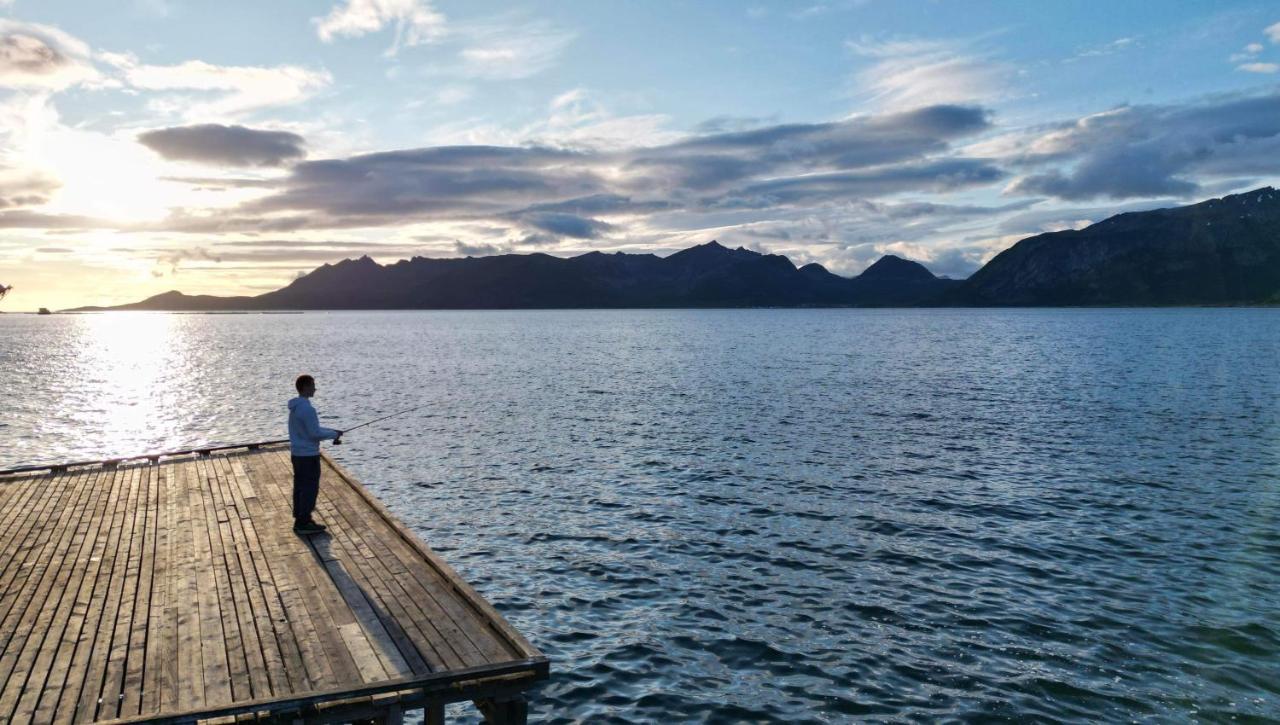 Апарт отель Senja Living Stonglandseidet Экстерьер фото