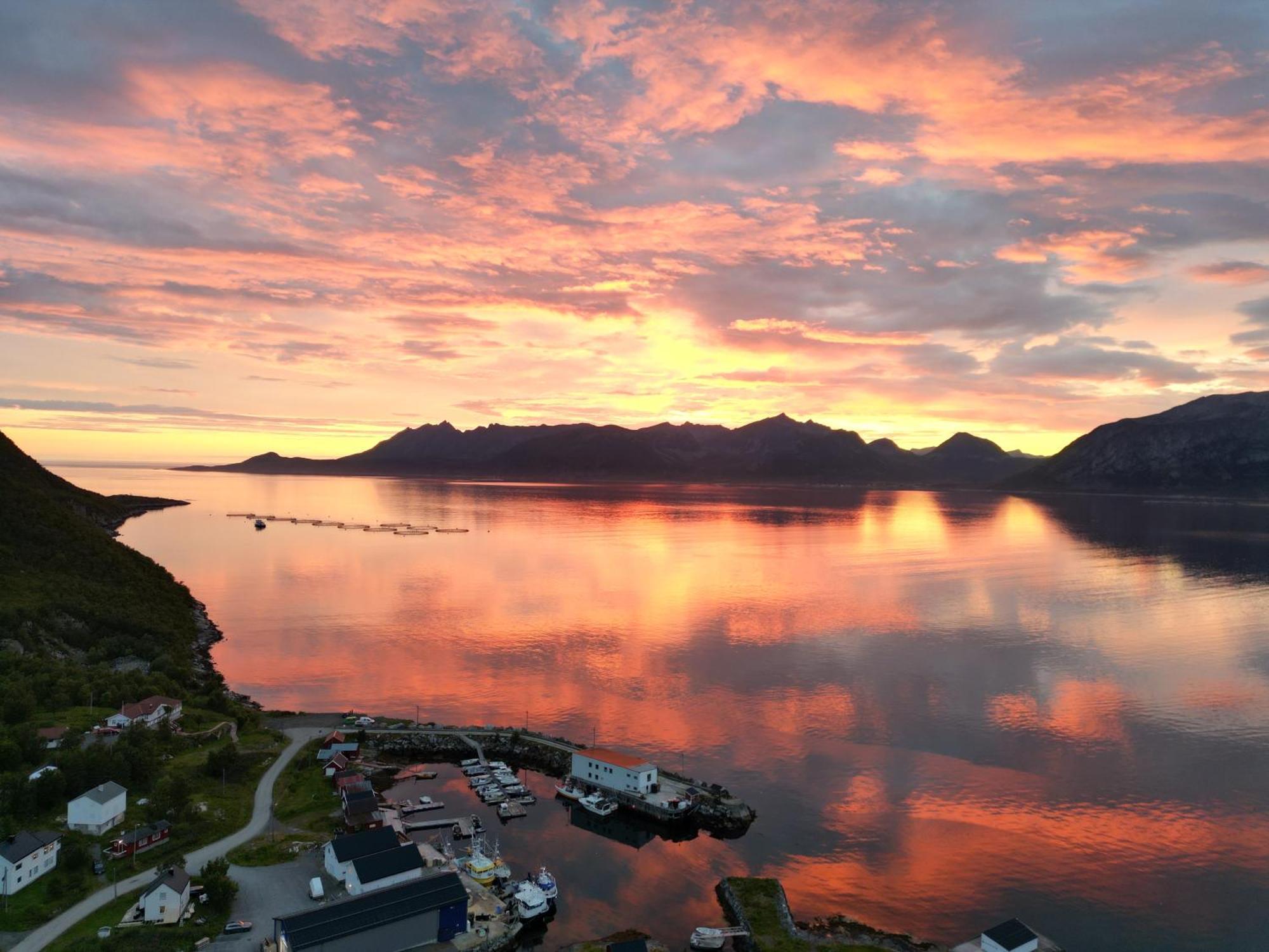 Апарт отель Senja Living Stonglandseidet Экстерьер фото